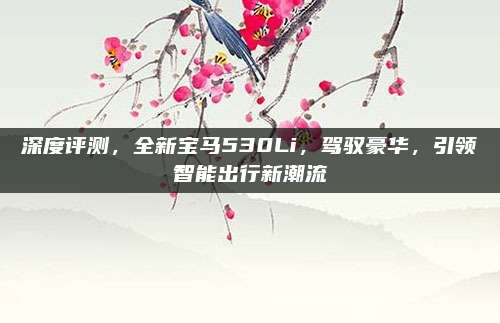 深度评测,全新宝马530Li,驾驭豪华,引领智能出行新潮流