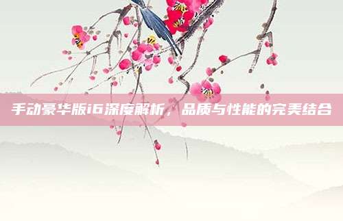 手动豪华版i6深度解析,品质与性能的完美结合