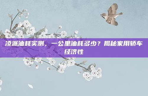 凌派油耗实测,一公里油耗多少?揭秘家用轿车经济性