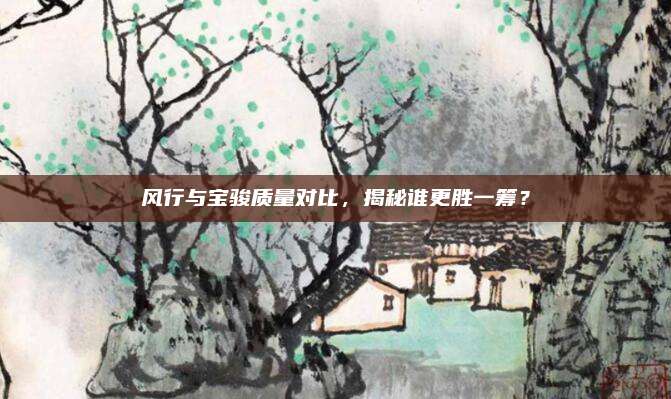 风行与宝骏质量对比,揭秘谁更胜一筹?