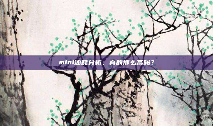 mini油耗分析,真的那么高吗?