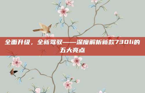全面升级,全新驾驭——深度解析新款730li的五大亮点