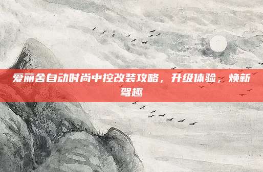 爱丽舍自动时尚中控改装攻略,升级体验,焕新驾趣