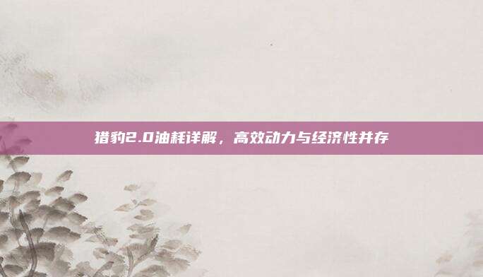 猎豹2.0油耗详解,高效动力与经济性并存