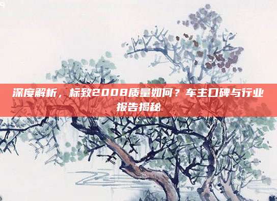 深度解析,标致2008质量如何?车主口碑与行业报告揭秘