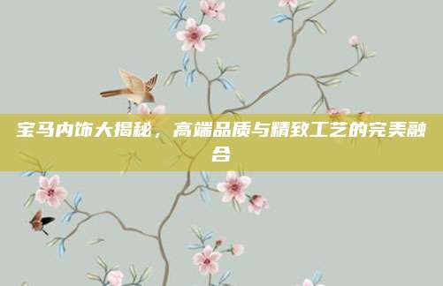 宝马内饰大揭秘,高端品质与精致工艺的完美融合