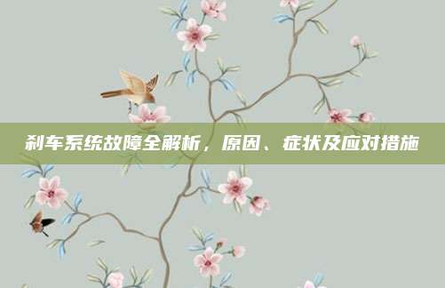 刹车系统故障全解析,原因、症状及应对措施