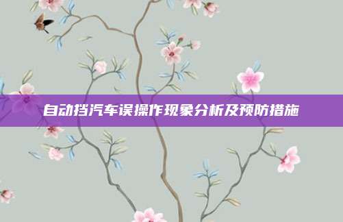 自动挡汽车误操作现象分析及预防措施