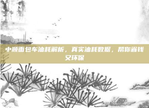 中顺面包车油耗解析,真实油耗数据,帮你省钱又环保