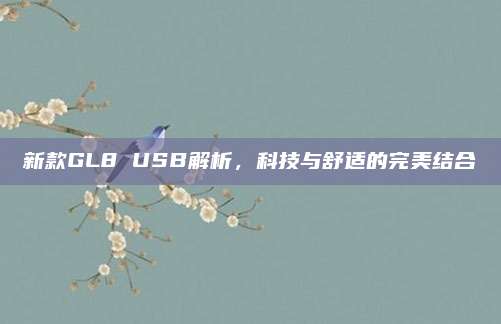 新款GL8 USB解析,科技与舒适的完美结合