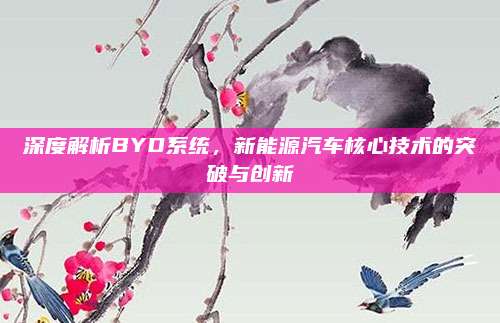 深度解析BYD系统,新能源汽车核心技术的突破与创新
