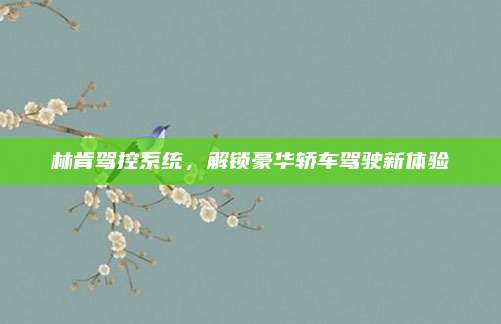 林肯驾控系统,解锁豪华轿车驾驶新体验
