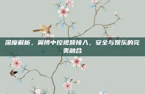 深度解析,翼搏中控视频接入,安全与娱乐的完美融合