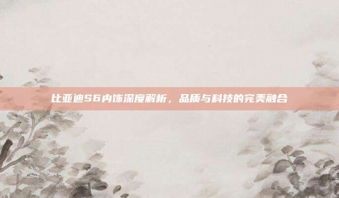 比亚迪S6内饰深度解析，品质与科技的完美融合