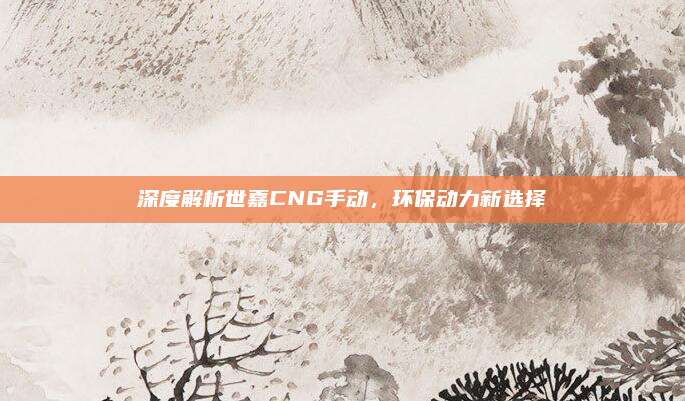 深度解析世嘉CNG手动,环保动力新选择