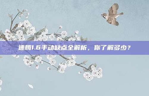 速腾1.6手动缺点全解析,你了解多少?