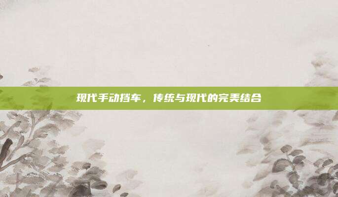 现代手动挡车,传统与现代的完美结合