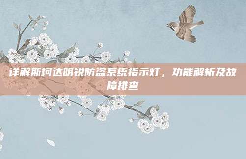 详解斯柯达明锐防盗系统指示灯,功能解析及故障排查
