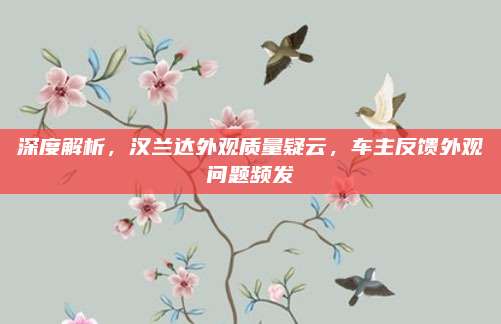 深度解析,汉兰达外观质量疑云,车主反馈外观问题频发
