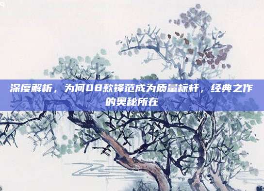 深度解析,为何08款锋范成为质量标杆,经典之作的奥秘所在