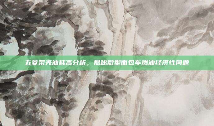 五菱荣光油耗高分析,揭秘微型面包车燃油经济性问题