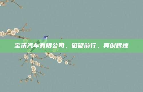 宝沃汽车有限公司，砥砺前行，再创辉煌