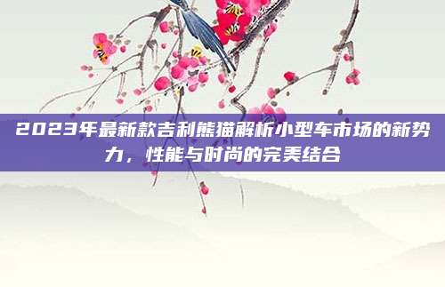 2023年最新款吉利熊猫解析小型车市场的新势力,性能与时尚的完美结合