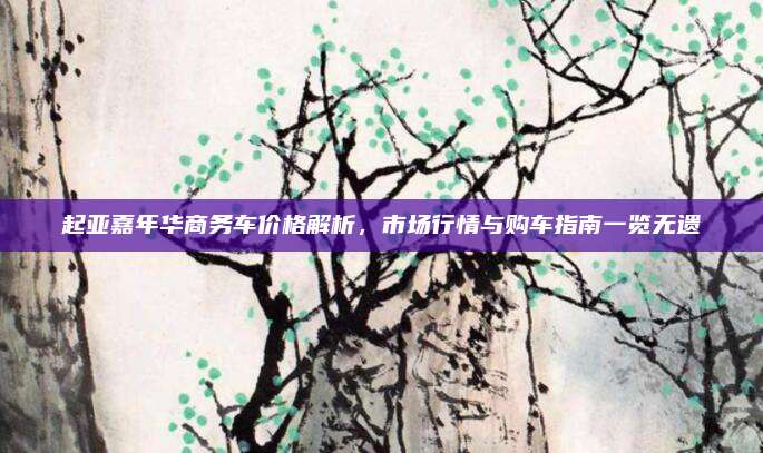 起亚嘉年华商务车价格解析,市场行情与购车指南一览无遗