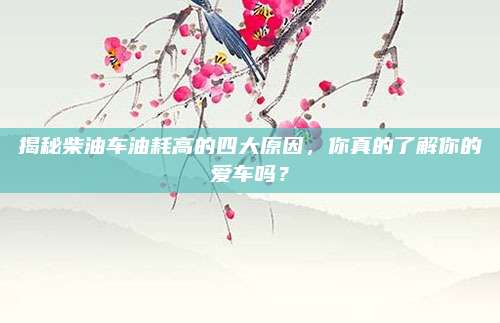 揭秘柴油车油耗高的四大原因,你真的了解你的爱车吗?