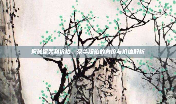 揭秘保斐利价格,豪华超跑的身价与价值解析