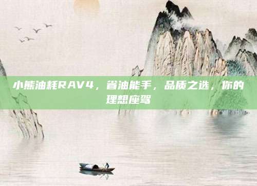 小熊油耗RAV4,省油能手,品质之选,你的理想座驾