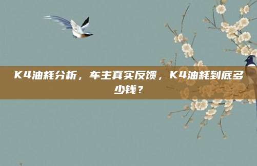 K4油耗分析,车主真实反馈,K4油耗到底多少钱?