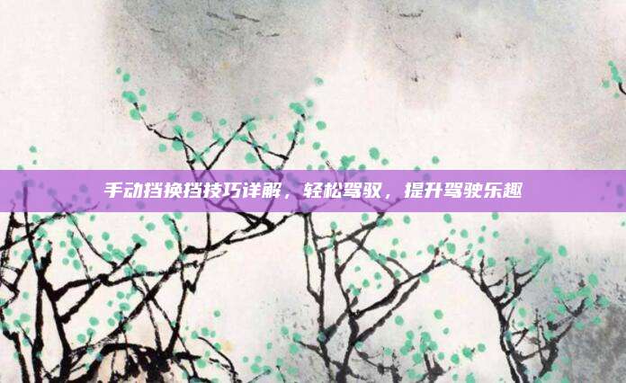 手动挡换挡技巧详解,轻松驾驭,提升驾驶乐趣