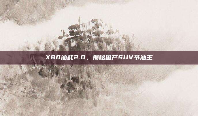 X80油耗2.0,揭秘国产SUV节油王