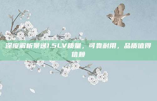 深度解析景逸1.5LV质量,可靠耐用,品质值得信赖