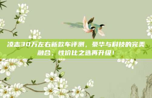 凌志30万左右新款车评测,豪华与科技的完美融合,性价比之选再升级!