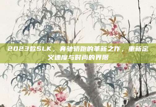 2023款SLK,奔驰轿跑的革新之作,重新定义速度与时尚的界限