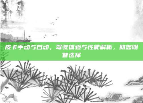 皮卡手动与自动,驾驶体验与性能解析,助您明智选择