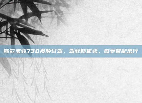 新款宝骏730视频试驾,驾驭新体验,感受智能出行