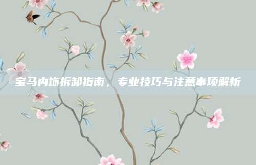 宝马内饰拆卸指南,专业技巧与注意事项解析