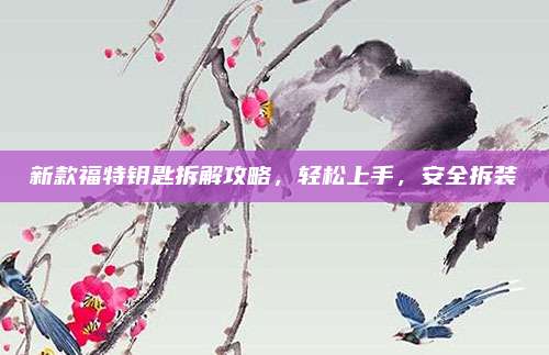 新款福特钥匙拆解攻略,轻松上手,安全拆装