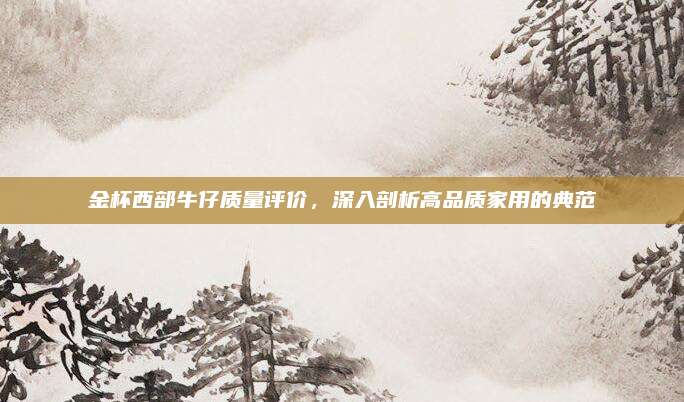 金杯西部牛仔质量评价，深入剖析高品质家用的典范