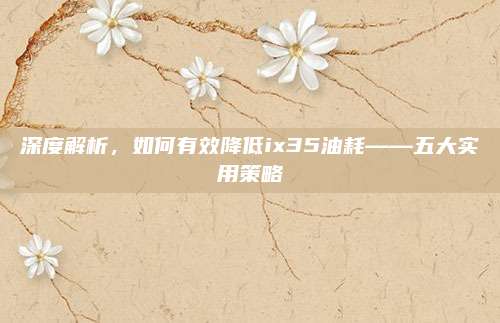 深度解析,如何有效降低ix35油耗——五大实用策略