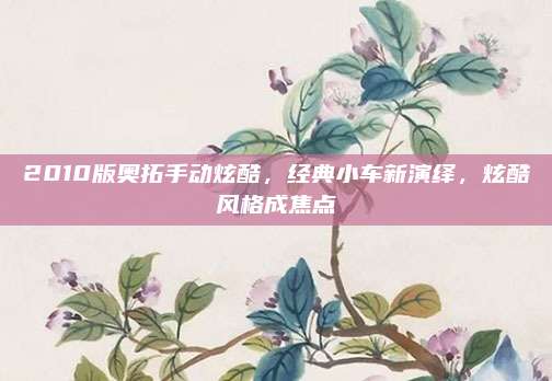 2010版奥拓手动炫酷,经典小车新演绎,炫酷风格成焦点