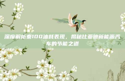 深度解析秦100油耗表现,揭秘比亚迪新能源汽车的节能之道