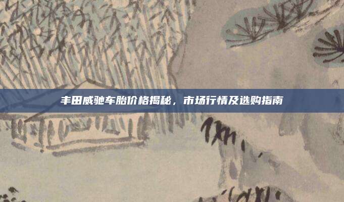 丰田威驰车胎价格揭秘,市场行情及选购指南