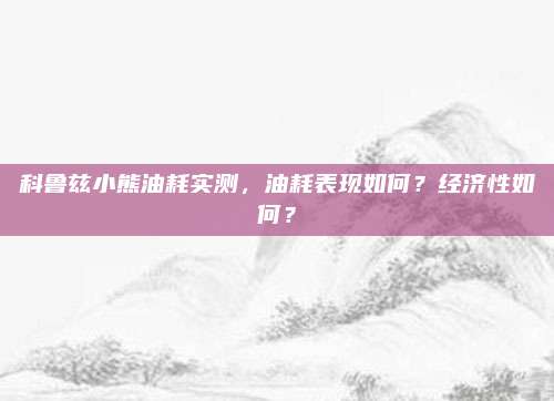 科鲁兹小熊油耗实测,油耗表现如何?经济性如何?