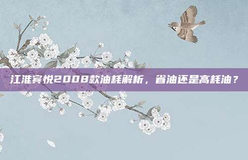 江淮宾悦2008款油耗解析,省油还是高耗油?