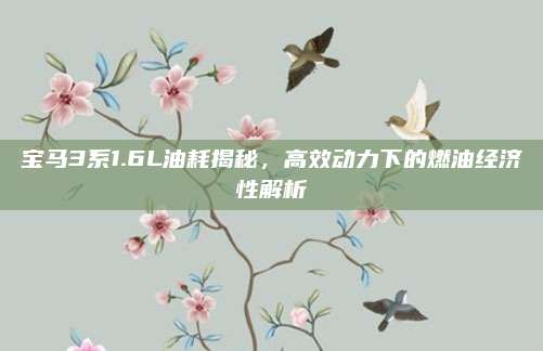 宝马3系1.6L油耗揭秘,高效动力下的燃油经济性解析