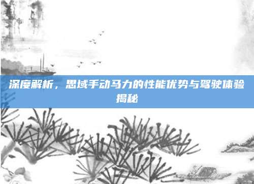 深度解析,思域手动马力的性能优势与驾驶体验揭秘
